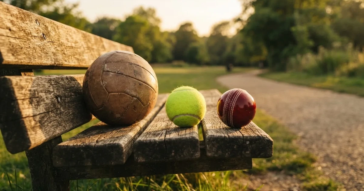 Three balls of different kinds side by side on a wooden bench