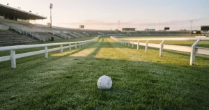 Online greyhound racing betting in Great Britain 2026 — a sharp reader’s guide